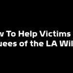 What You Can Do To Help Victims and Evacuees of the LA Wildfires