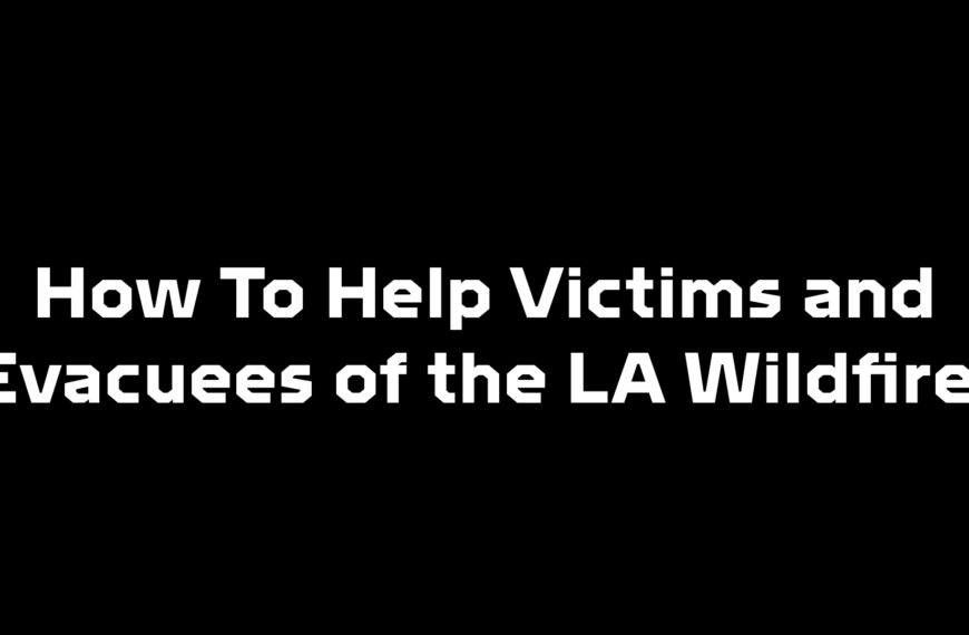 What You Can Do To Help Victims and Evacuees of the LA Wildfires