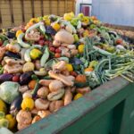 Bio-waste management faces EU challenges