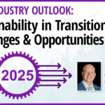 Sustainability in Transition: Challenges and Opportunities Ahead