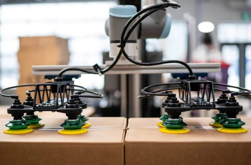 Achieving Efficiency: How Advanced Materials and Machinery Transform Palletizing