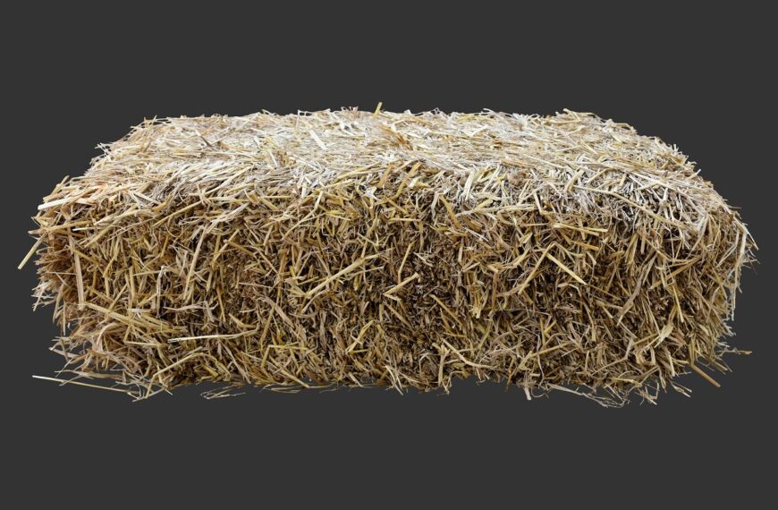 India’s IIT-Madras launches zero-waste bioplastics initiative