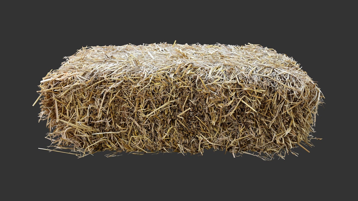 India’s IIT-Madras launches zero-waste bioplastics initiative