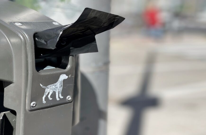 Puppysentials launches eco-friendly pet waste bags in US