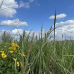 UPM Raflatac and WWF Poland expand collaboration