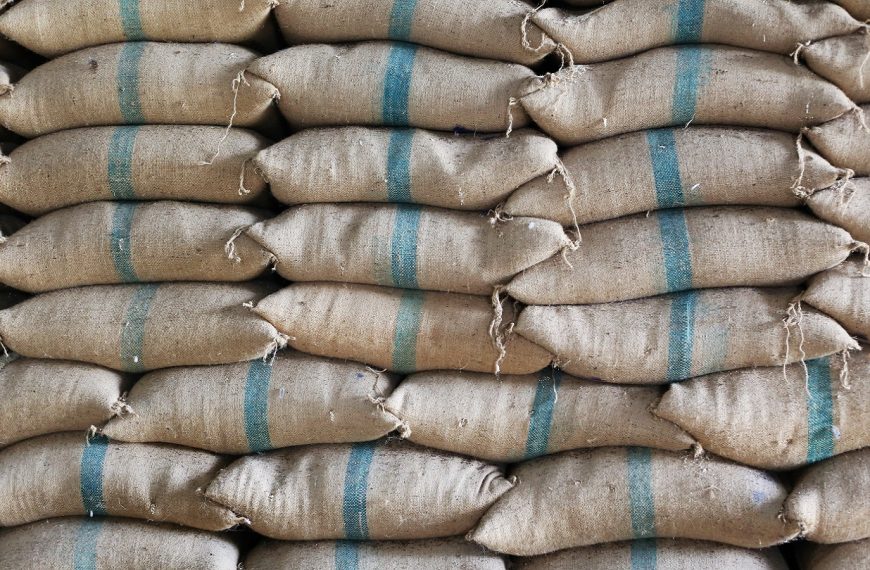 Indian jute mills to earn 8.19% ROC for food grain bag supply