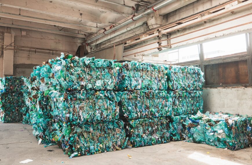 UFlex and IIP Delhi partner on sustainable packaging innovations in India