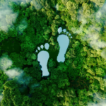 How EPR Will Change the Way UK Businesses Use Packaging  