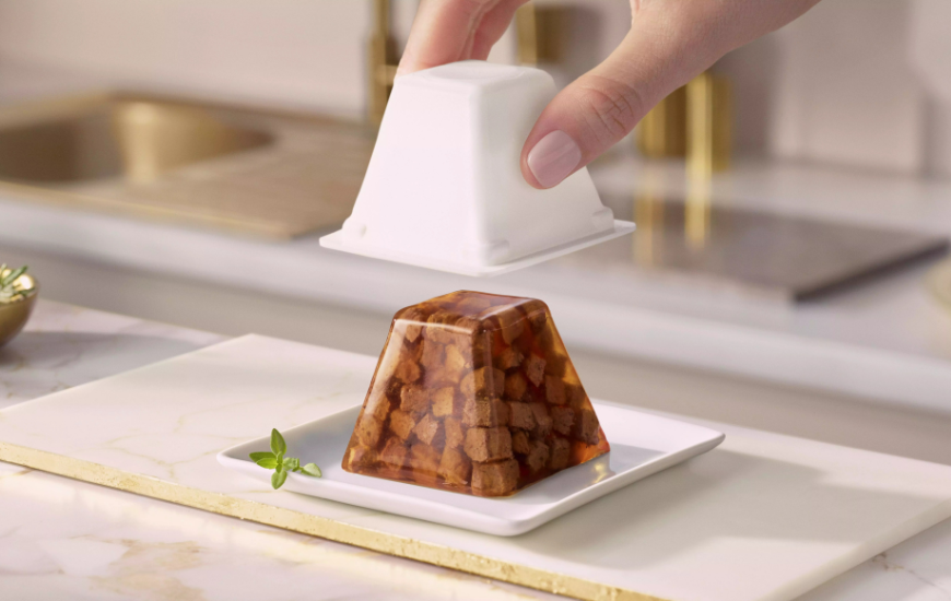 Nestlé Purina Petcare Unveils New Cat Food in Pyramid-Shaped Packaging