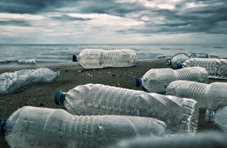 AE Global and rePurpose Global expand partnership for eco-packaging