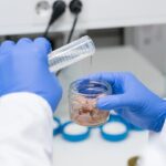 Chalmers University study: cysteine packaging reduces mercury in tuna