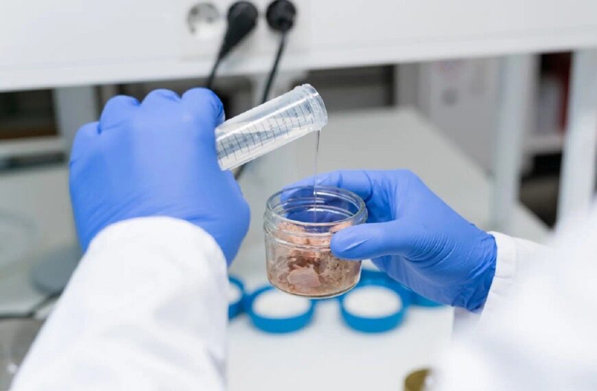 Chalmers University study: cysteine packaging reduces mercury in tuna