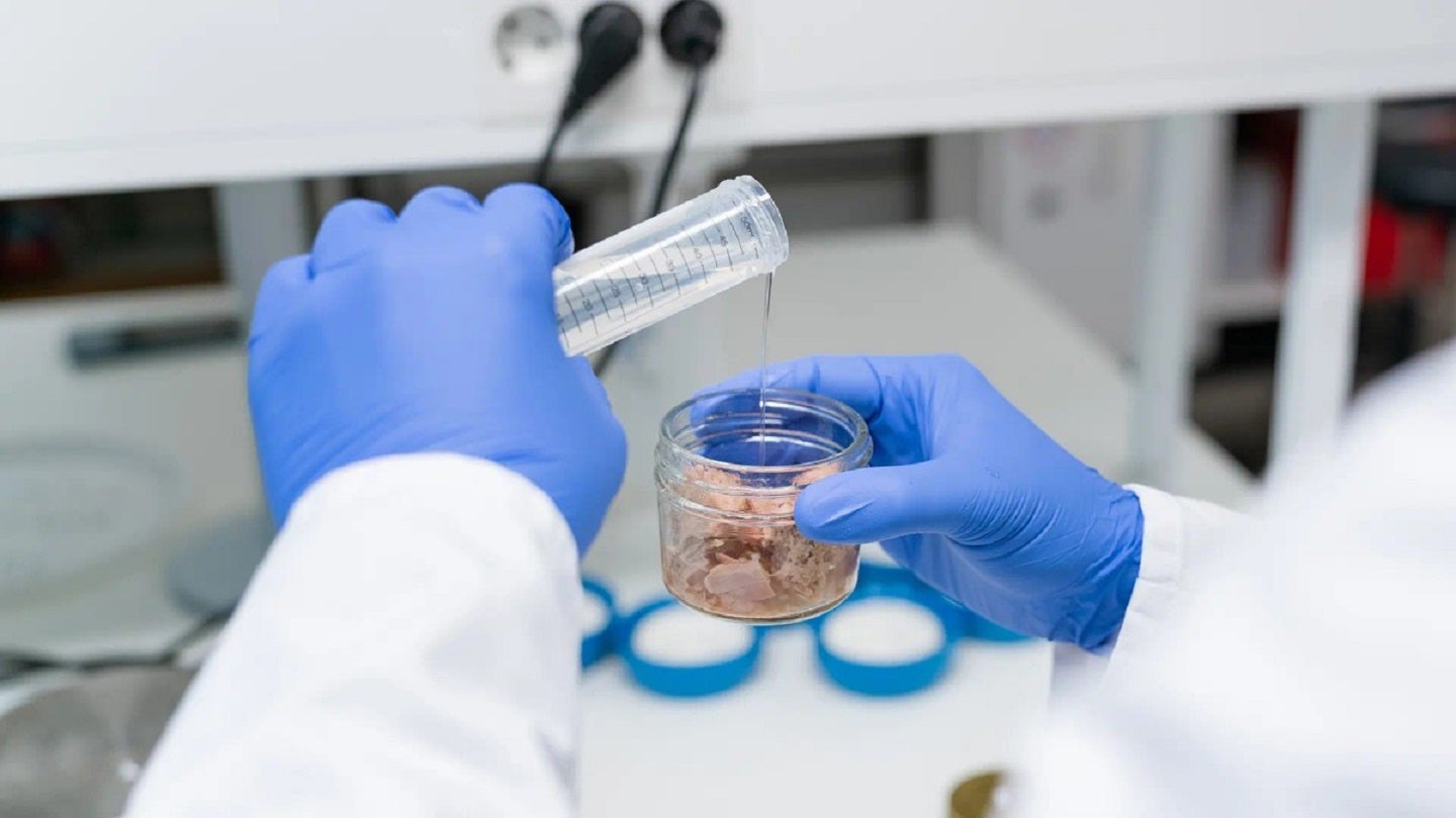 Chalmers University study: cysteine packaging reduces mercury in tuna