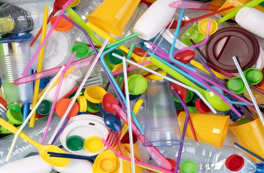 Netherlands considers ending single-use plastic surcharge