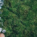WRAP joins EU to tackle food and packaging waste