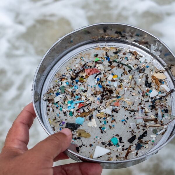 Microplastics Are Potentially Fueling Antibiotic Resistance