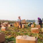 E-commerce drives China’s green packaging growth