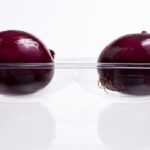 Xact Prepack and Termoformas to offer sustainable food packaging solutions