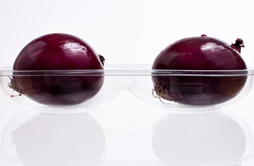 Xact Prepack and Termoformas to offer sustainable food packaging solutions