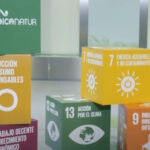 Saica Group announces plans to construct second corrugated plant in U.S.