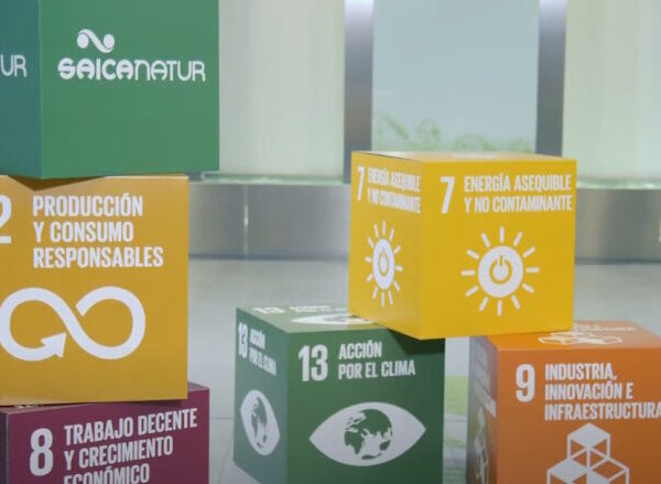 Saica Group announces plans to construct second corrugated plant in U.S.