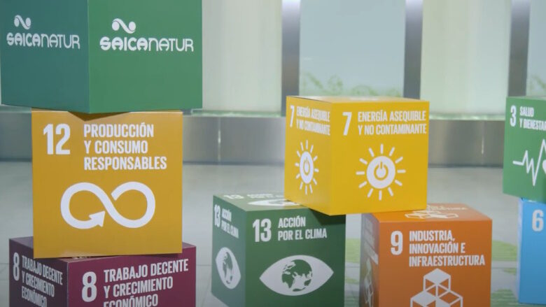 Saica Group announces plans to construct second corrugated plant in U.S.