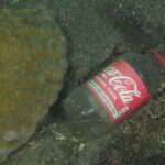 Oceana Report Says Coca-Cola Is Responsible For Over 1 Billion Pounds of Plastic Entering Our Waterways Annually