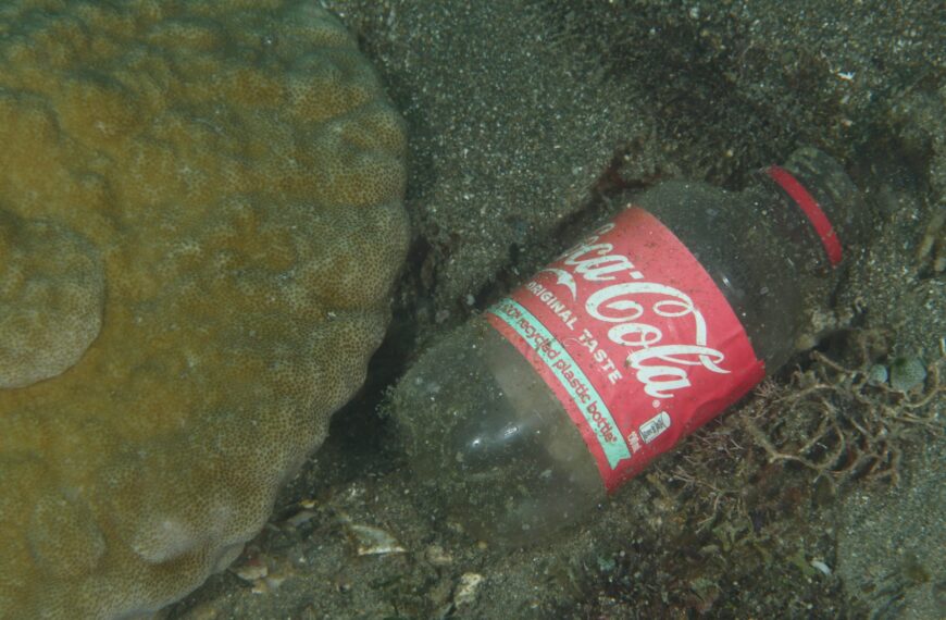 Oceana Report Says Coca-Cola Is Responsible For Over 1 Billion Pounds of Plastic Entering Our Waterways Annually