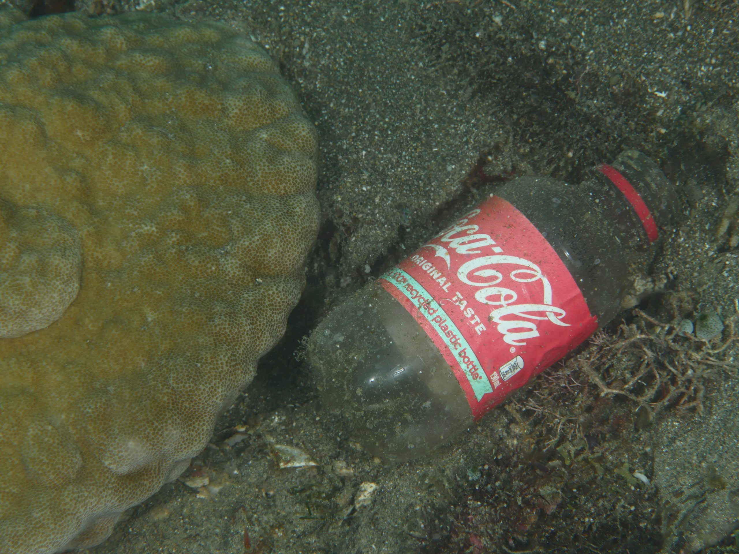 Oceana Report Says Coca-Cola Is Responsible For Over 1 Billion Pounds of Plastic Entering Our Waterways Annually