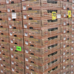 Dole Food Company Expands Commercial Use of Recyclable Stretch Film