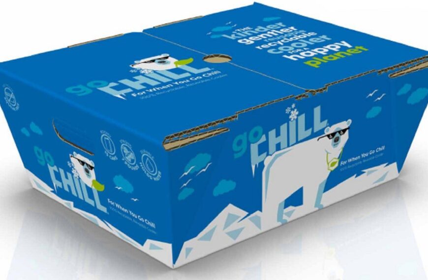 DS Smith unveils recyclable and reusable cooler in US
