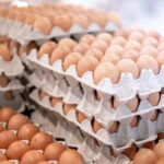Huhtamaki purchases moulded fibre packaging company Zellwin Farms