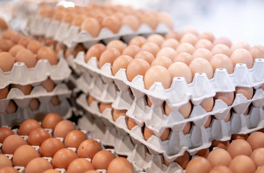 Huhtamaki purchases moulded fibre packaging company Zellwin Farms
