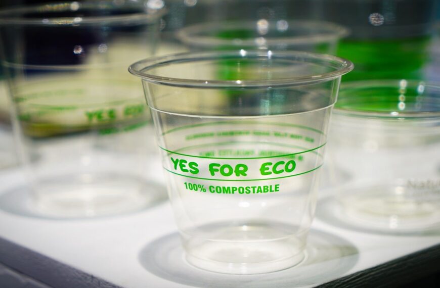 Buscar acquires 50% ownership in bioplastic technologies company Terramer