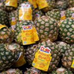 Dole expands use of recyclable Oxifilm in Central America