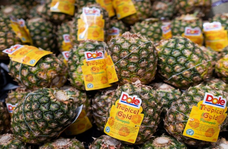 Dole expands use of recyclable Oxifilm in Central America