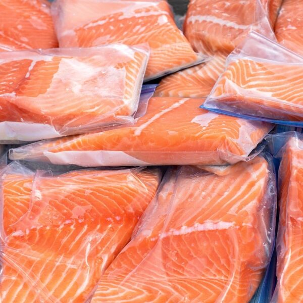 NIT Rourkela researchers unveil eco-friendly seafood packaging in India