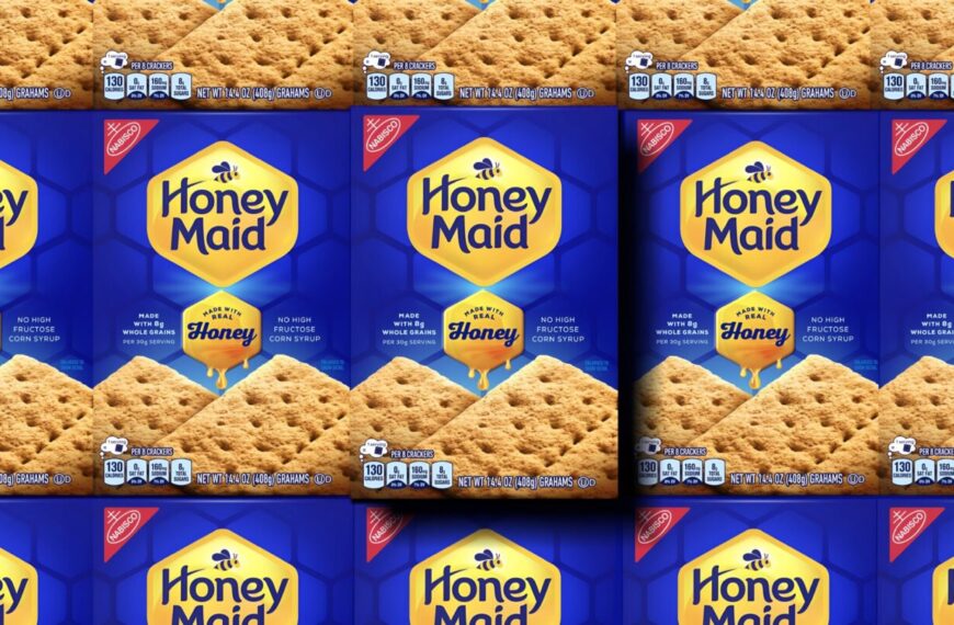Dragon Rogue Creates Buzzworthy Brand Refresh For Honey Maid Graham Crackers