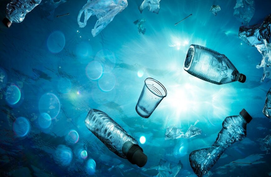 Chomps partners with 4ocean to address ocean plastic pollution