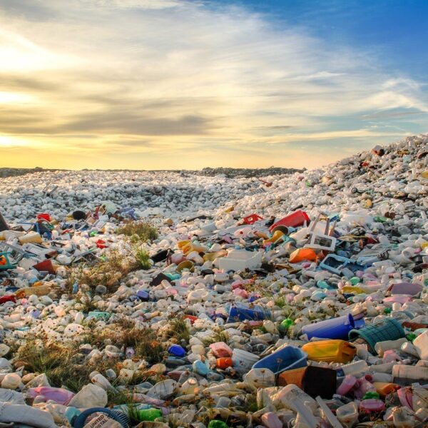 AE Global and rePurpose Global unveil new plastic certification badges