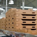 Green Bay Packaging works with ANDRITZ for advanced mill solutions in US