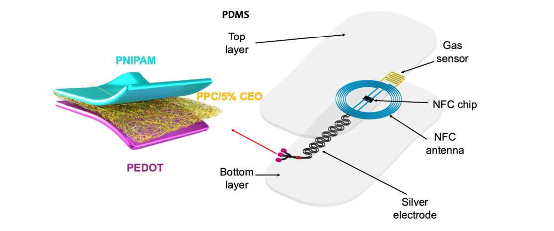 Researchers develop flexible, battery-free intelligent packaging