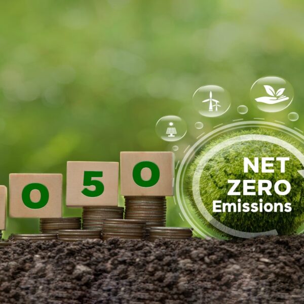 Berlin Packaging sets net-zero emission targets for 2050