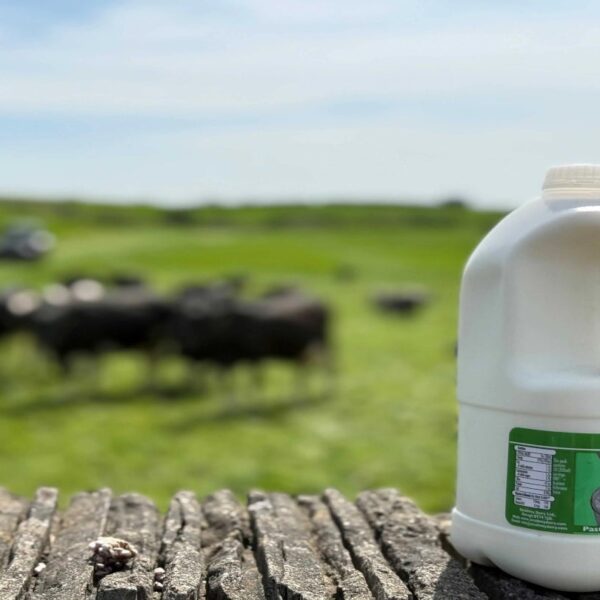 EREMA upgrades recycling system for post consumer recycling