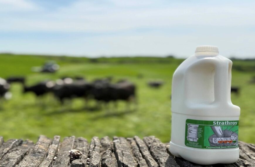 EREMA upgrades recycling system for post consumer recycling