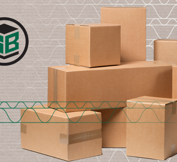 Green Bay Packaging Invests $1 Billion in Morrilton, AR Facility Expansion