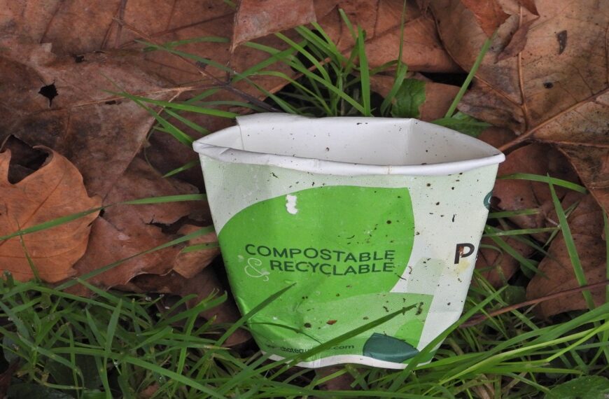 APP Group and Continental Cup unveil compostable cup range
