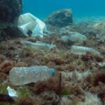 ASEAN nations take proactive approach to combat plastic pollution