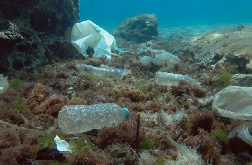 ASEAN nations take proactive approach to combat plastic pollution
