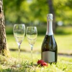 Packaging changes under net zero plan push wine prices higher